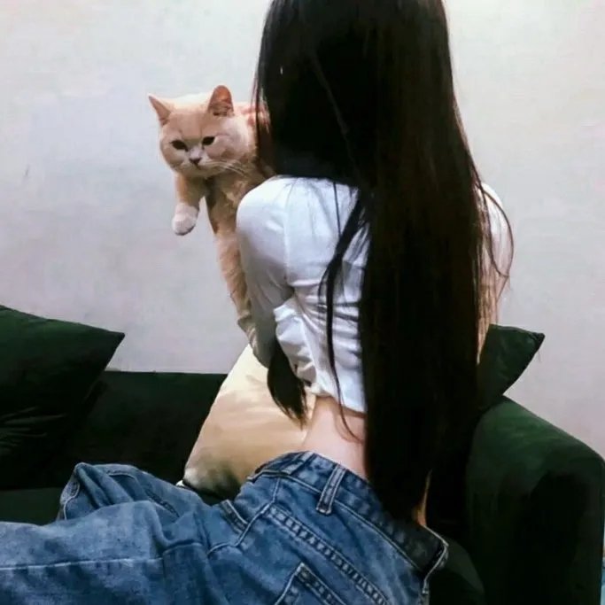 生理酱